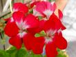 tn_gallery_9377_3973_8346.jpg