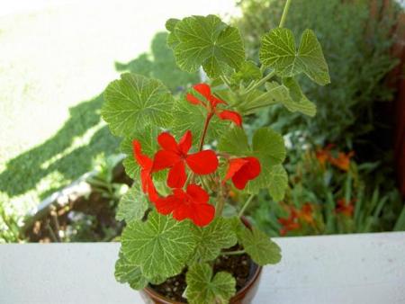 gallery_9377_3973_15715.jpg
