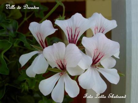 gallery_9377_3973_4228.jpg