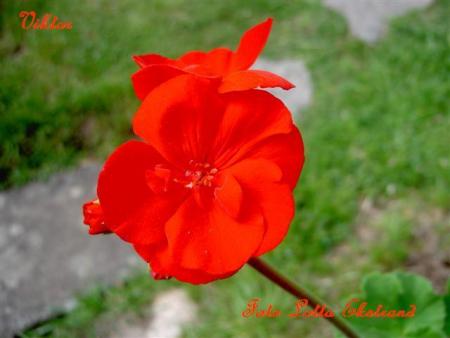 gallery_9377_3973_4651.jpg