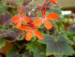 tn_gallery_9377_3973_17854.jpg