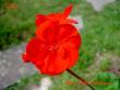 tn_gallery_9377_3973_4651.jpg