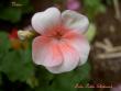 tn_gallery_9377_3973_8022.jpg