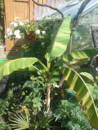 gallery_17820_3976_121953.jpg