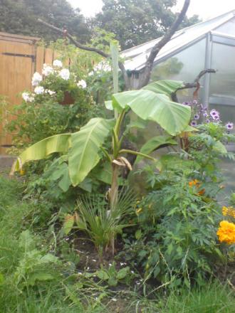 gallery_17820_3976_124875.jpg