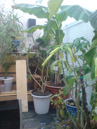 gallery_17820_3976_50164.jpg