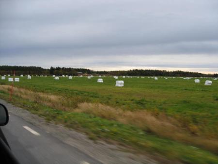 gallery_23204_3999_6751.jpg
