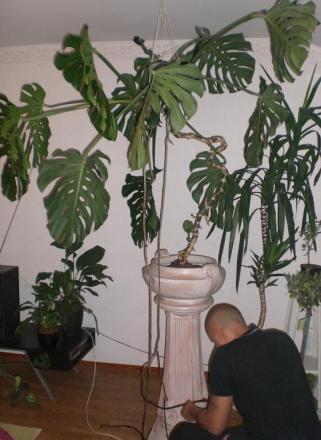 gallery_26662_3996_48824.jpg