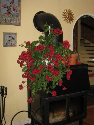 gallery_8985_3991_10028.jpg