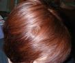 tn_gallery_352_2206_61677.jpg