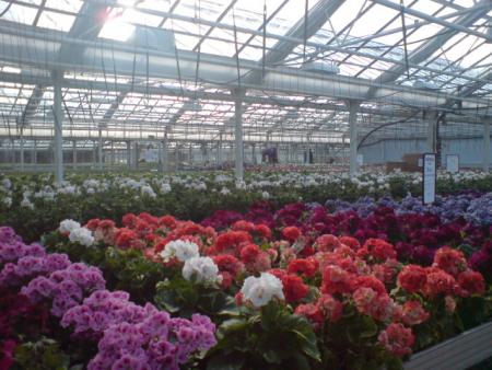 gallery_17820_4005_121712.jpg