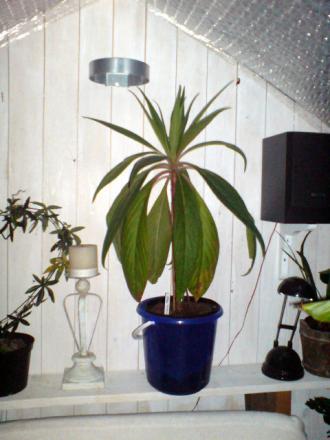 gallery_17820_4006_74607.jpg
