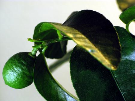 gallery_10947_664_20922.jpg