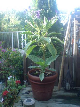 gallery_17820_4010_48072.jpg