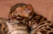 tn_gallery_1090_4026_14728.jpg