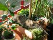 tn_gallery_1090_4026_42851.jpg