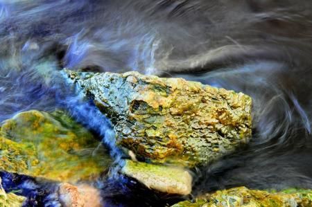 gallery_5074_3745_51628.jpg