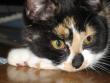 tn_gallery_3210_99_39255.jpg