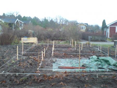 gallery_17820_4020_31459.jpg