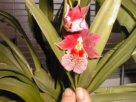 gallery_2682_4037_18232.jpg