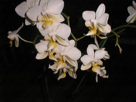 gallery_2682_4037_22257.jpg