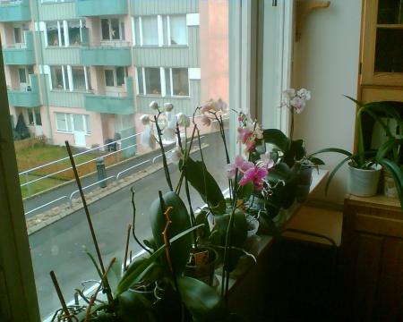 gallery_2682_4037_271267.jpg