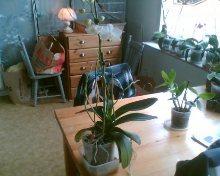 gallery_2682_4037_52119.jpg