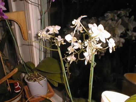 gallery_2682_4037_6796.jpg