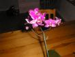 tn_gallery_2682_4037_18.jpg