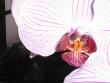 tn_gallery_2682_4037_78256.jpg