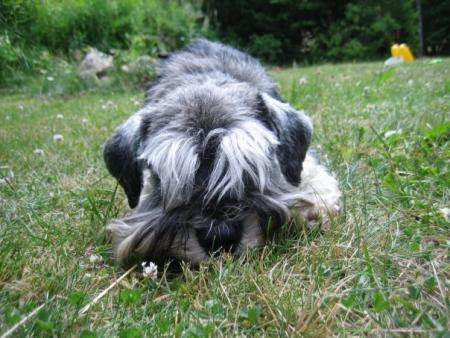 gallery_12343_2009_60727.jpg