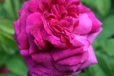gallery_13397_3074_55355.jpg