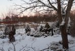 gallery_7131_1227_36142.jpg
