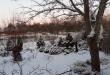 tn_gallery_7131_1227_228573.jpg