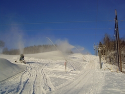 gallery_19305_3303_36626.jpg
