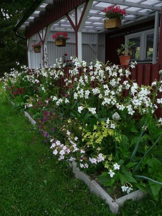 gallery_12134_4049_14110.jpg