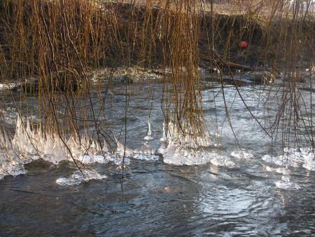 gallery_1786_952_99624.jpg