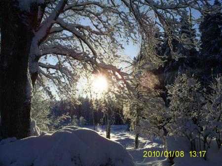gallery_17660_4065_167304.jpg