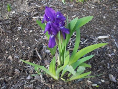 gallery_13303_4073_36200.jpg