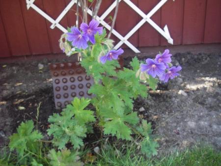 gallery_13303_4074_92615.jpg