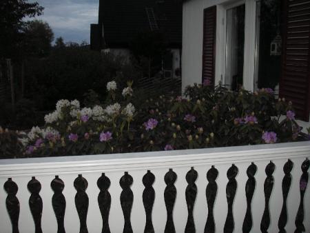 gallery_13303_4076_17937.jpg