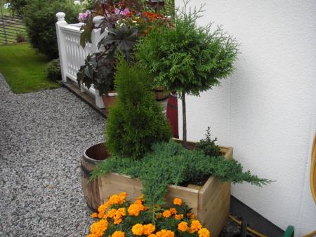 gallery_13303_4078_114833.jpg