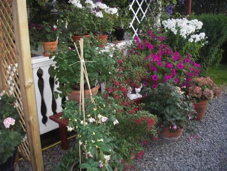 gallery_13303_4078_162660.jpg