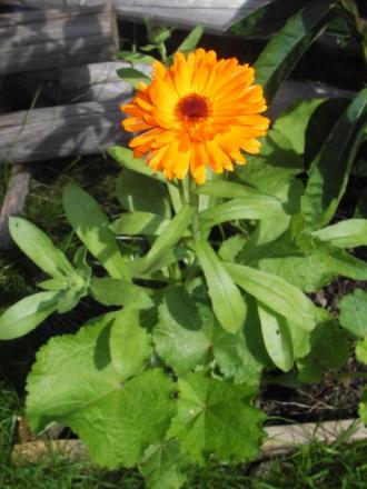 gallery_13303_4078_25428.jpg