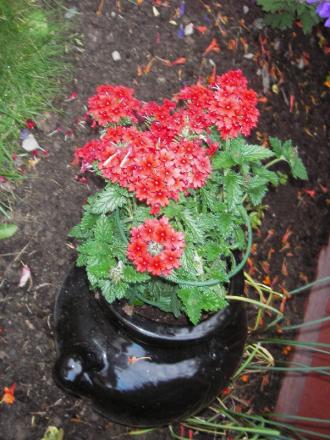 gallery_13303_4078_39730.jpg