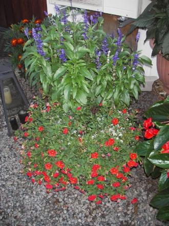 gallery_13303_4078_54818.jpg