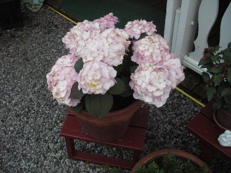 gallery_13303_4083_29933.jpg