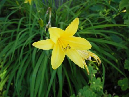 gallery_13303_4088_33557.jpg