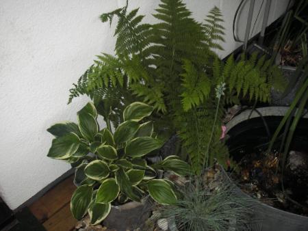 gallery_13303_4092_4691.jpg