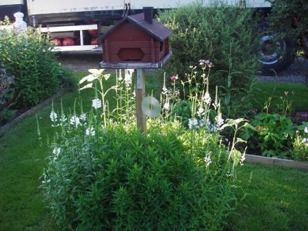 gallery_13303_4098_108564.jpg